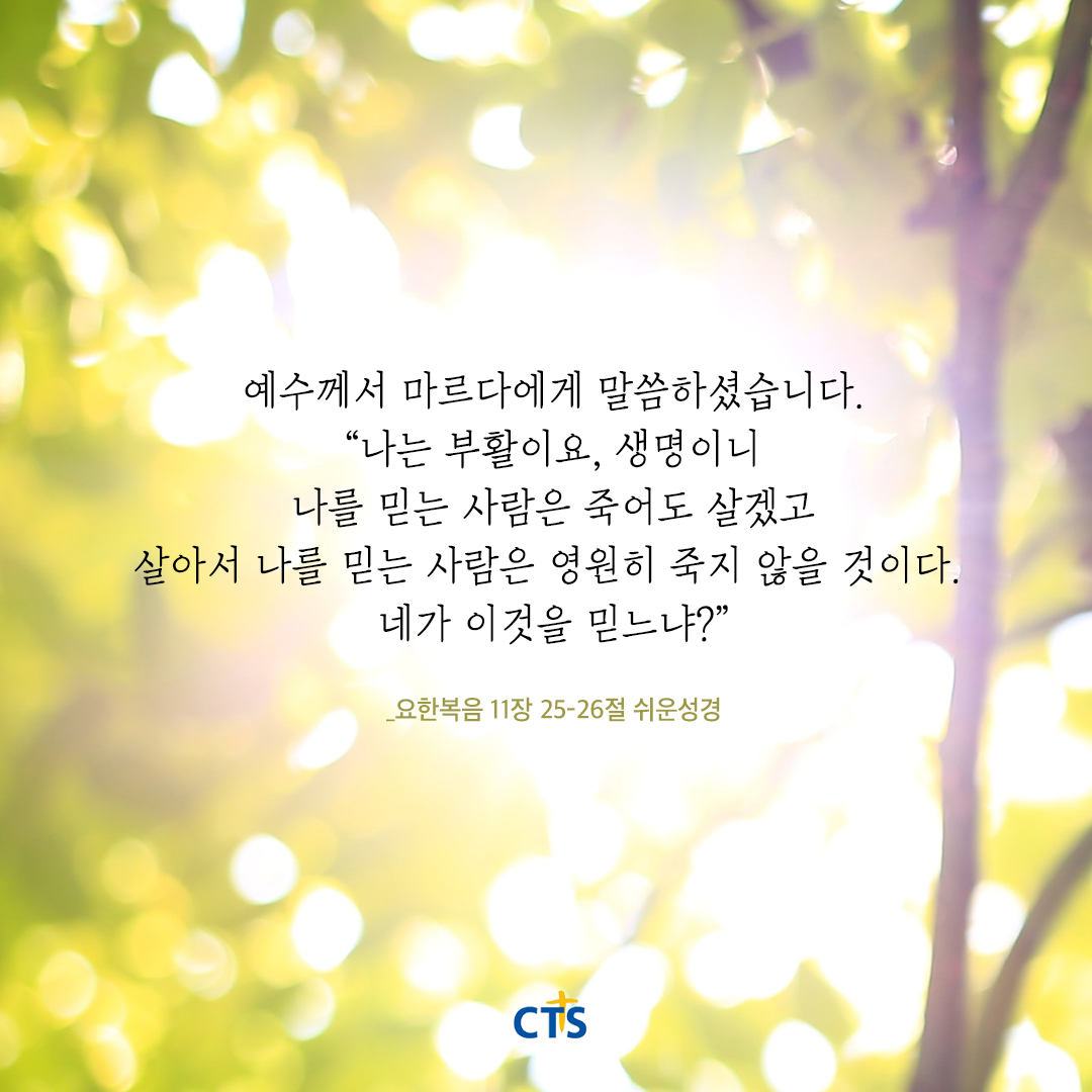 CTS - [요한복음 11장 25-26절 개역개정] 25.예수께서 이르시되 나는 부활이요 생명이니 나를... | Facebook