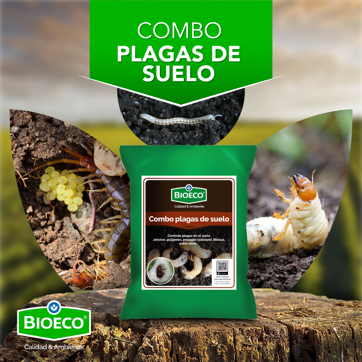 Bioeco CR - ¡Invierno o lluvias es sinónimo de estas... | Facebook