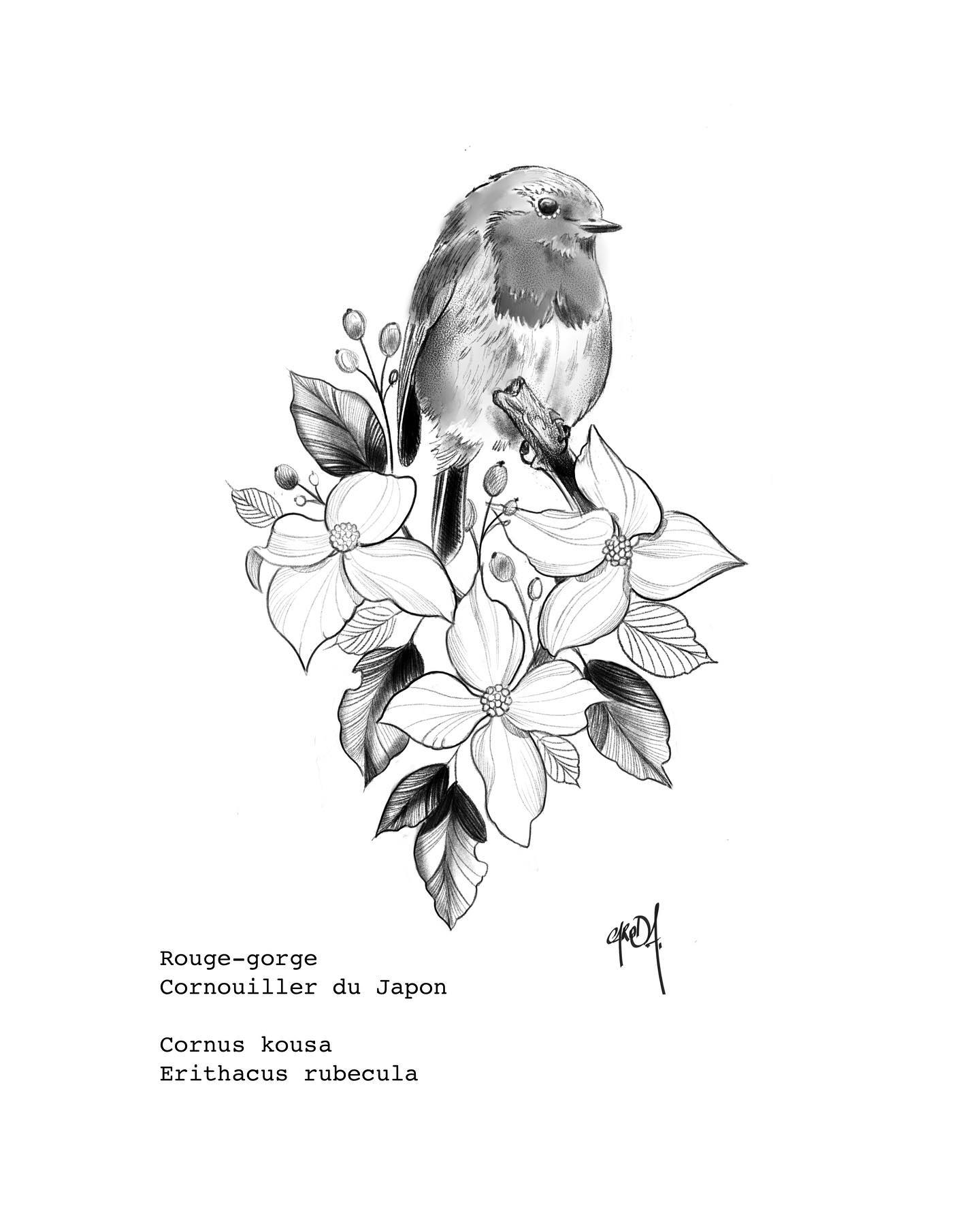 Tatouage Rouge Gorge Noir Et Blanc