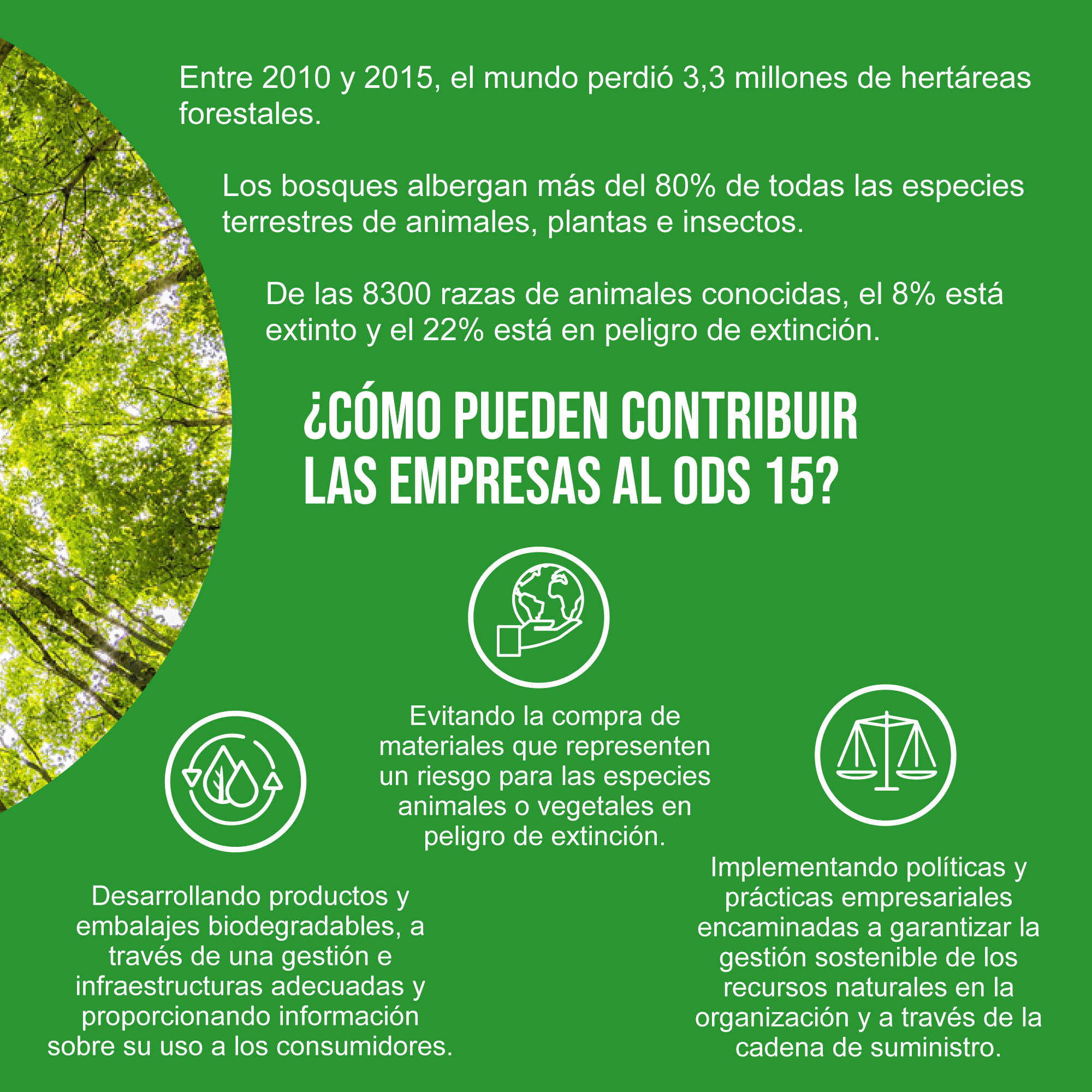 IntegraRSE - Los bosques albergan a más del 80% de todas...