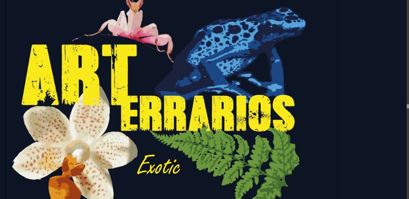 Insectosjm - Gracias a todos aquellos que habéis pasado estos días por ...