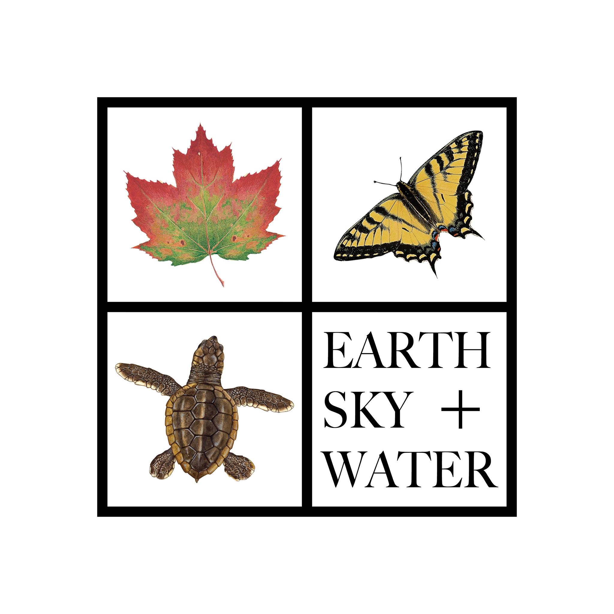 Our fall collection is designed to bring the wonder of the season into ...