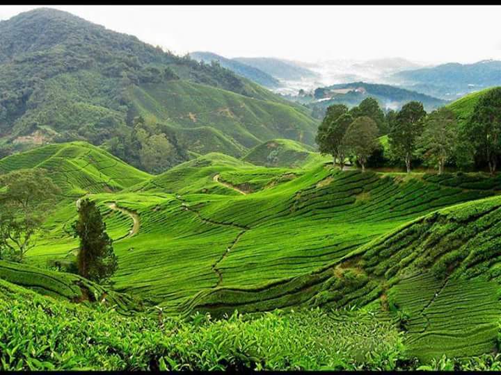 Talui Ecotourism