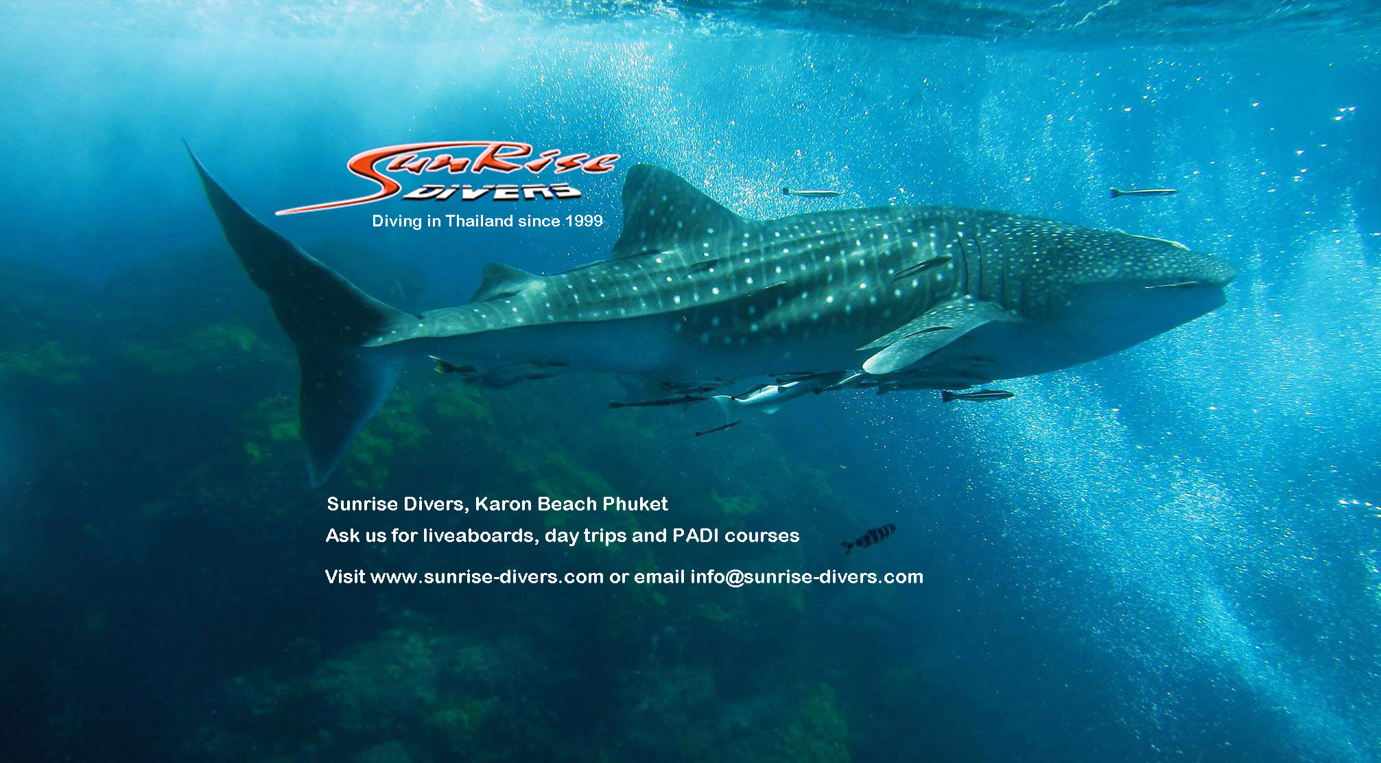 Phuket dash Scuba dot Com... - Phuket dash Scuba dot Com