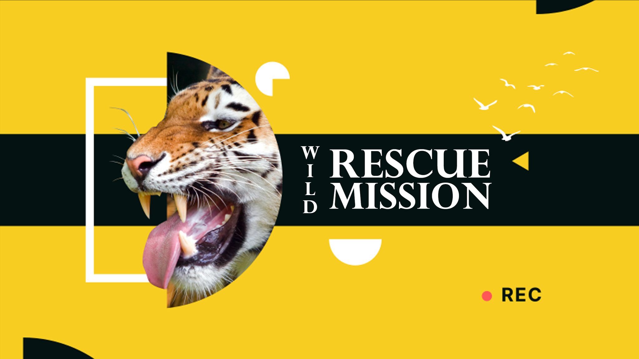 Wild Rescue Mission