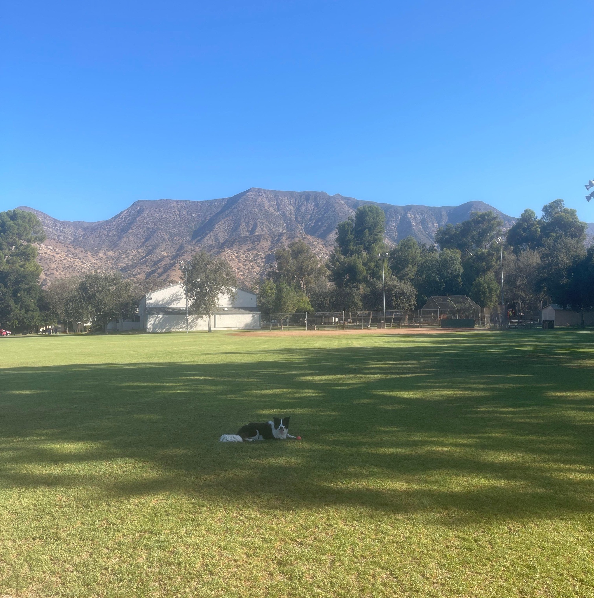 Jon Riddell Real Estate | Ojai CA