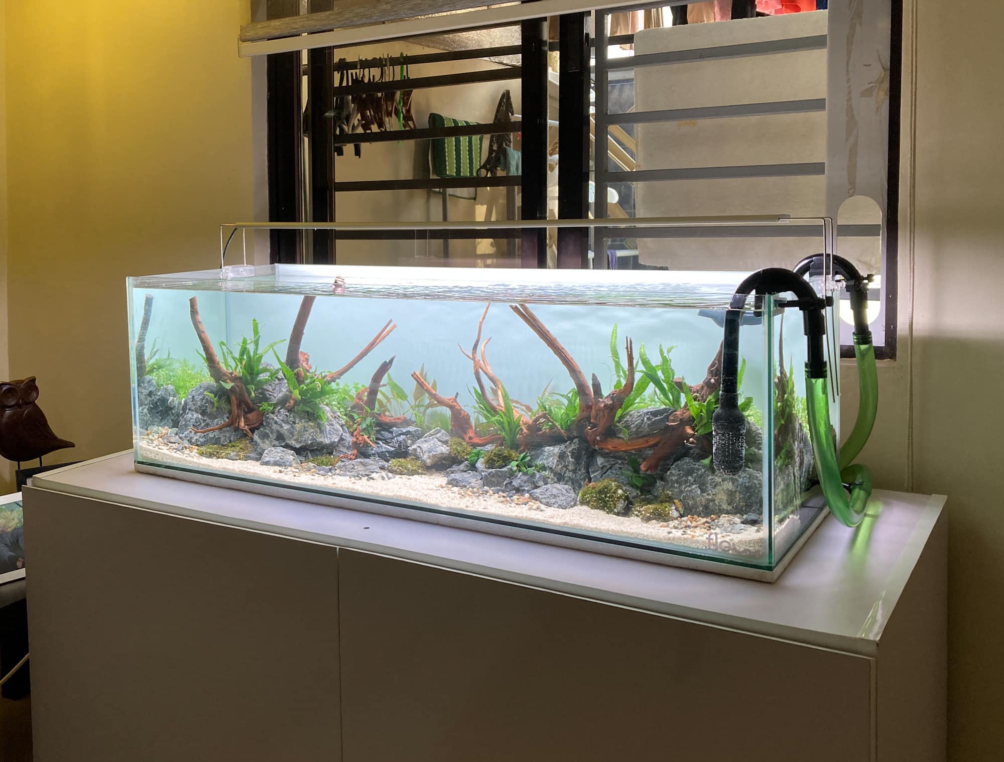 Flow - Latest project. A 90gallon tank with aquascape. 🔸 Specs: * Tank ...