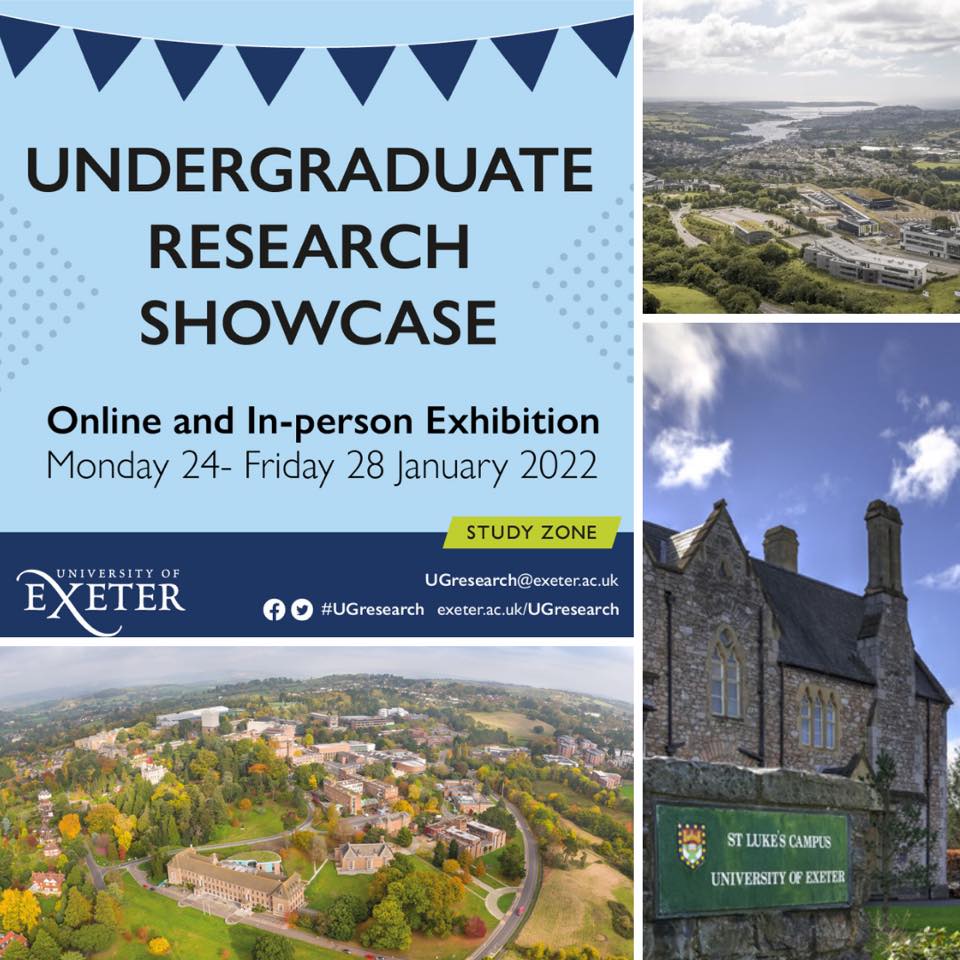 The Undergraduate... - University of Exeter Study Zone | Facebook