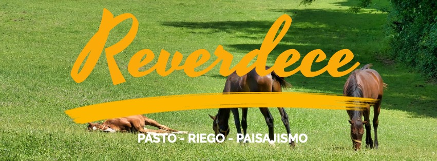 Reverdece