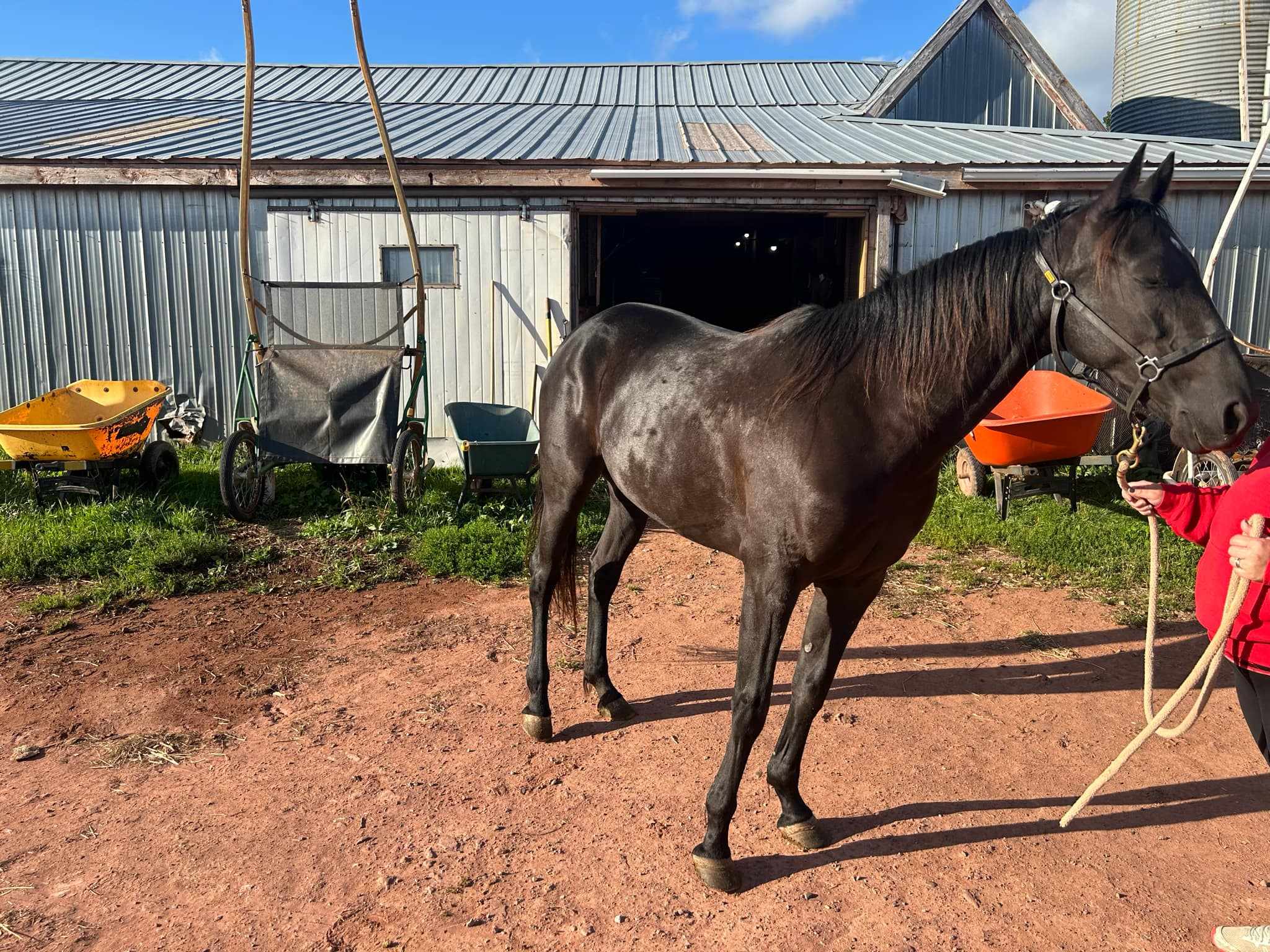 The Crystal Ladder Ranch | Newmarket ON