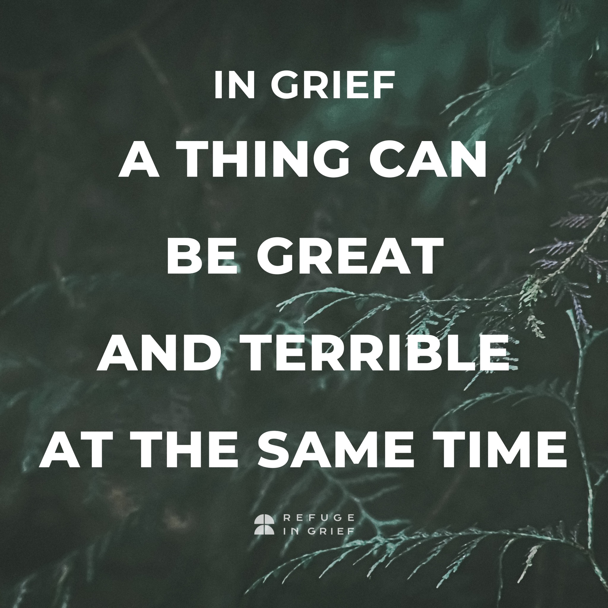 Refuge In Grief - There is no place your loss does not...