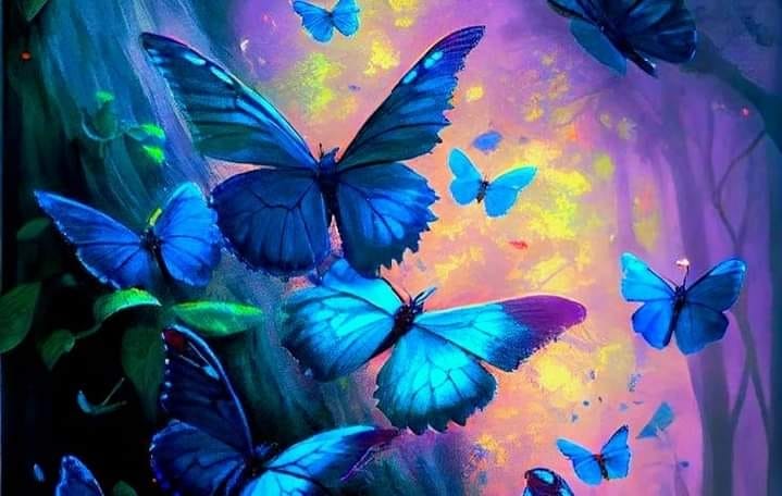 Butterflies are Beautiful | Facebook