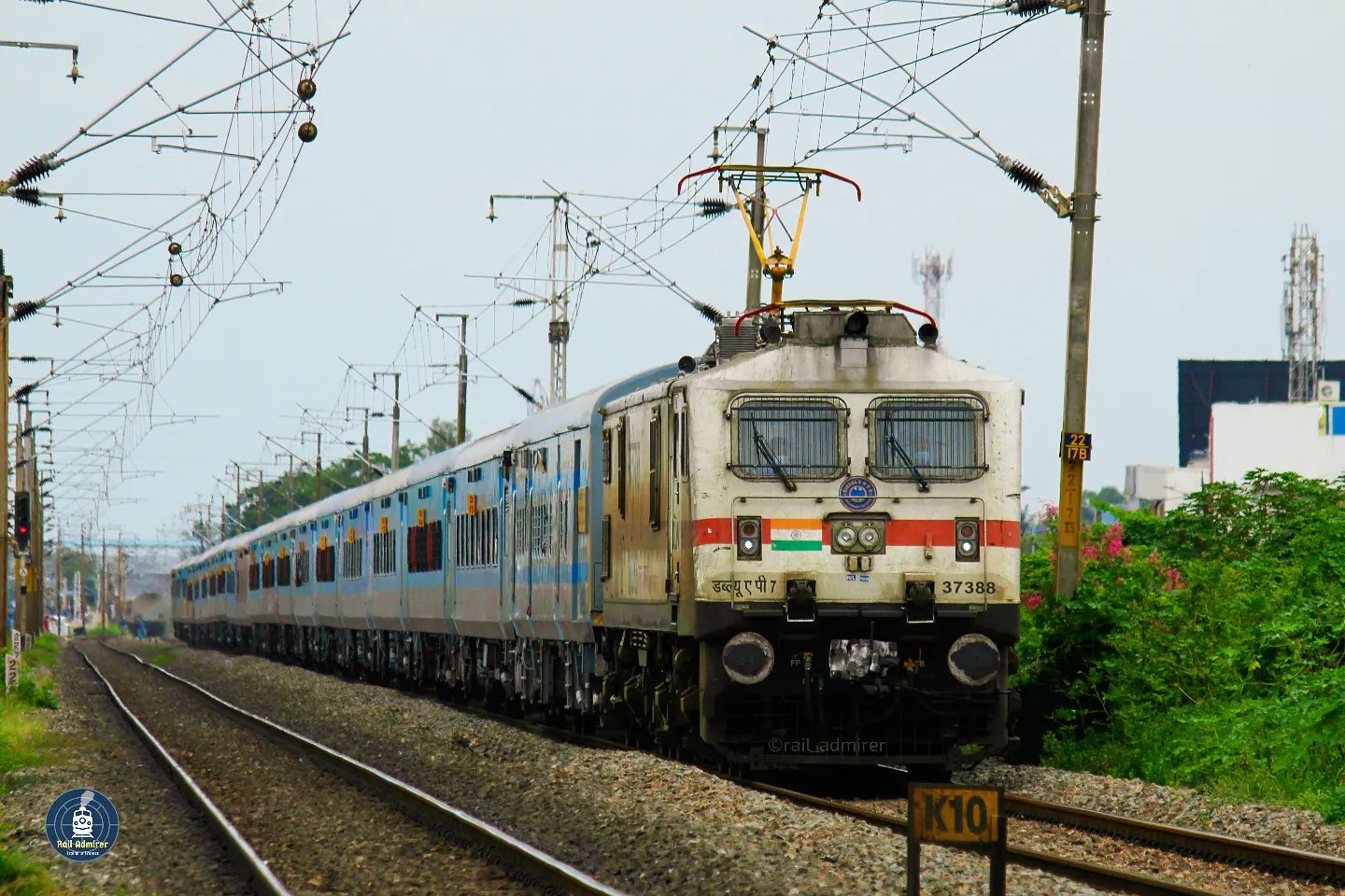 Rail - BLUE INTERCITY🚉