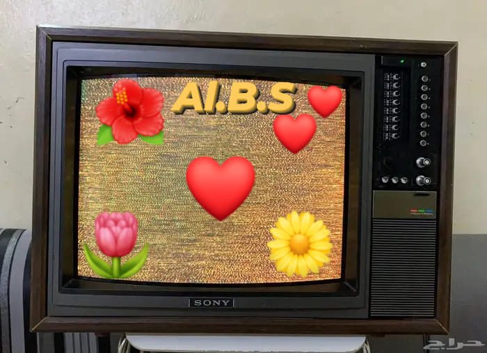SONY tv, 12