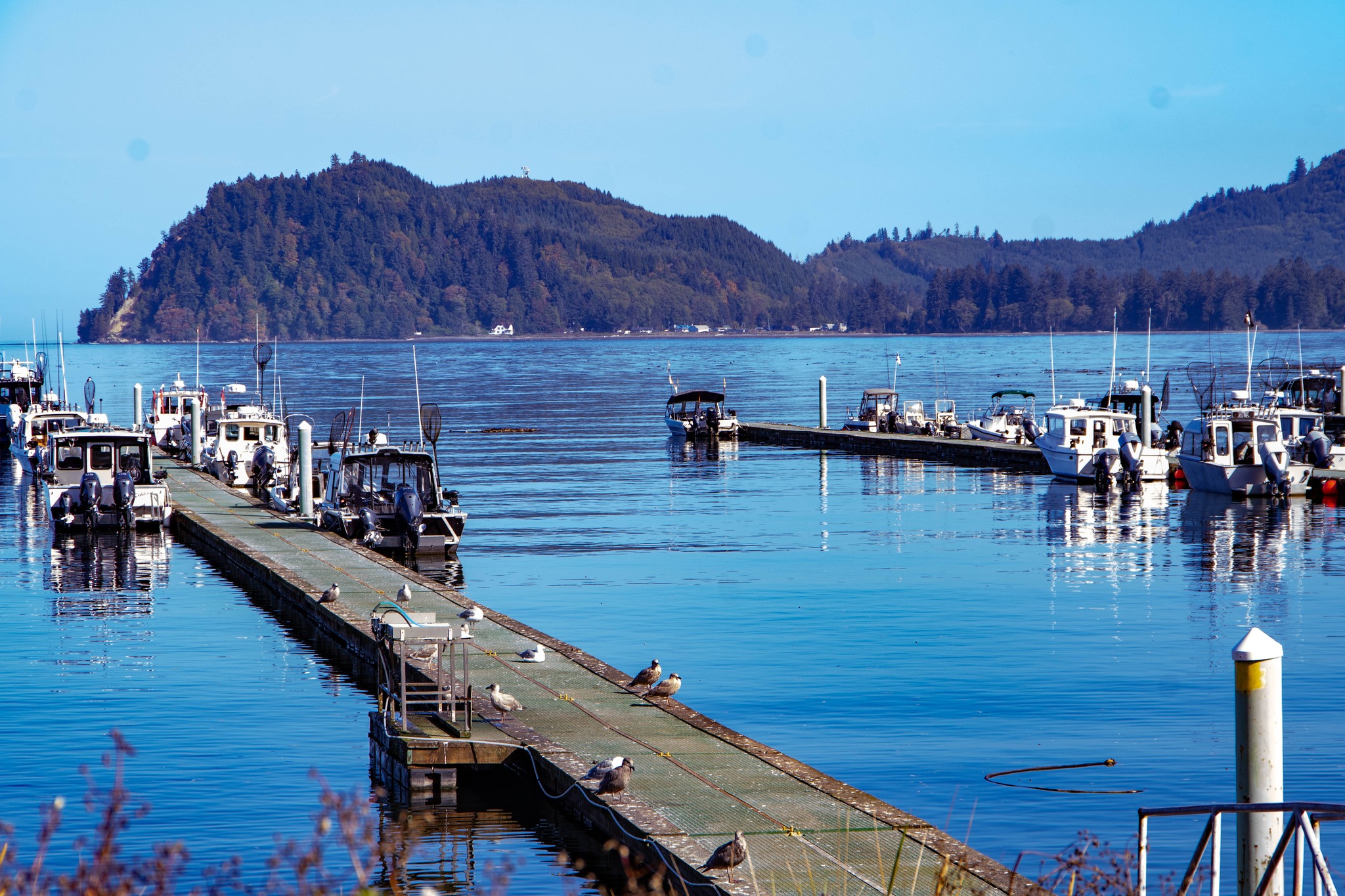 Roger - I believe this is Callam Bay. The town was packed with ...