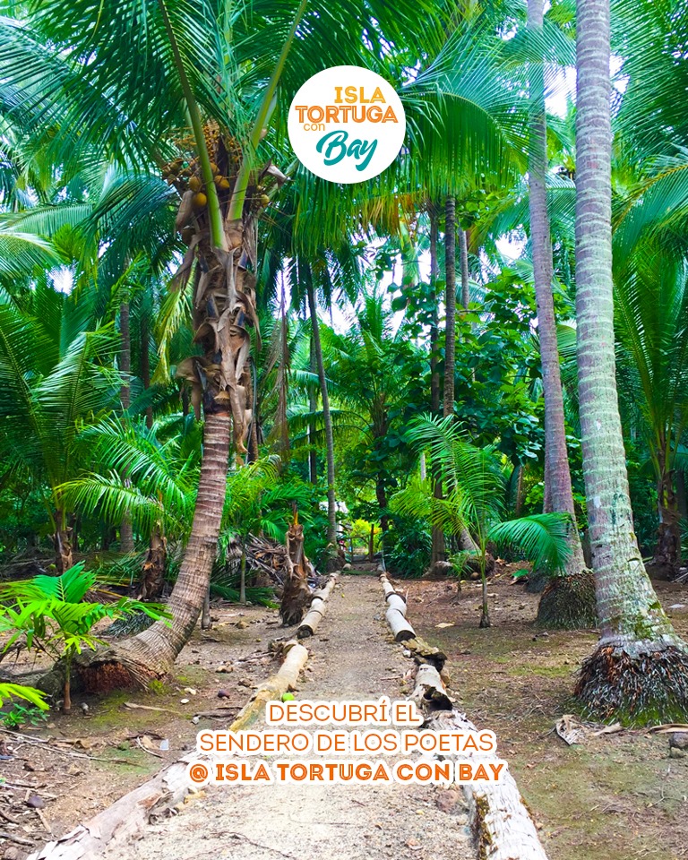 Isla Tortuga es un... - Bay Island Cruises Costa Rica