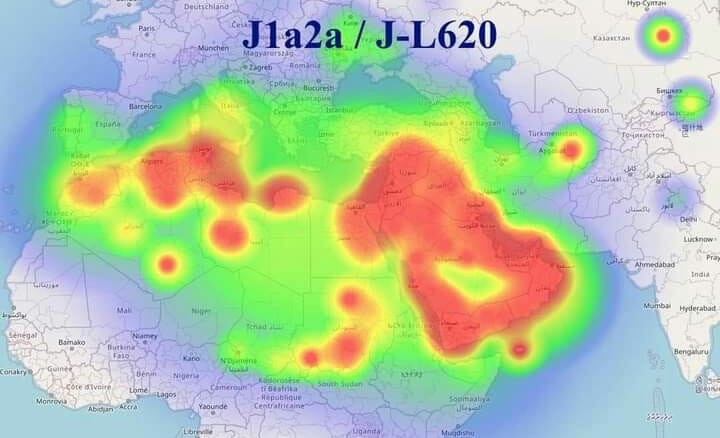 مناقشة جينوم الشرق الاوسط الكبير MENA Genica | التحور الجيني JL620 او ...