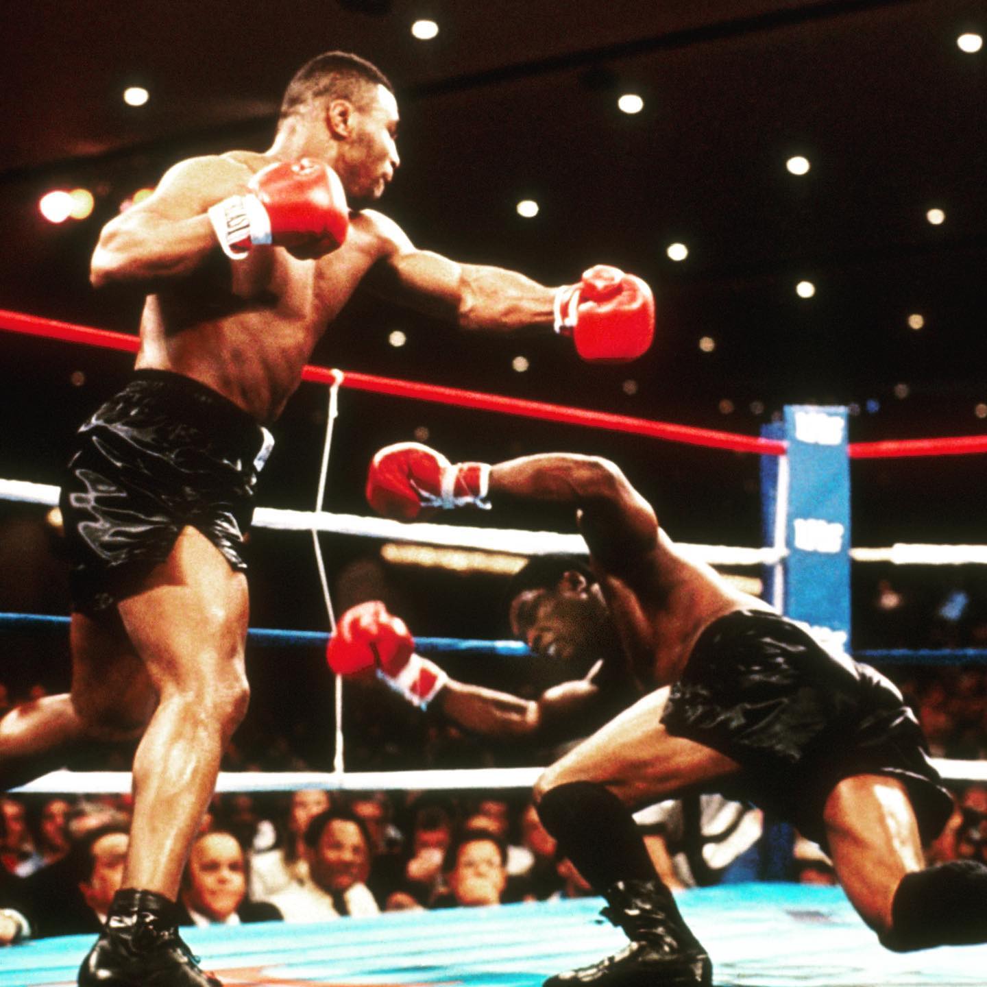 Sky - ?ON THIS DAY: Tyson destroys Berbick? ⏪Back in 1986 Mike 