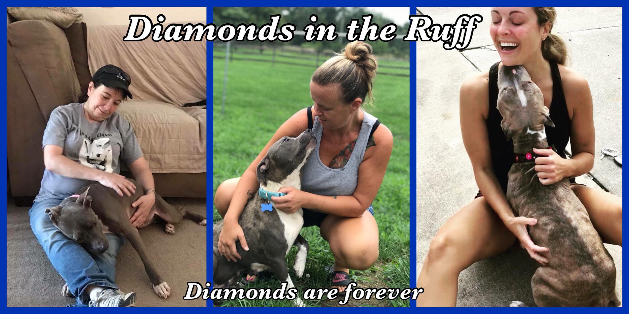 Diamonds in the Ruff Rescue