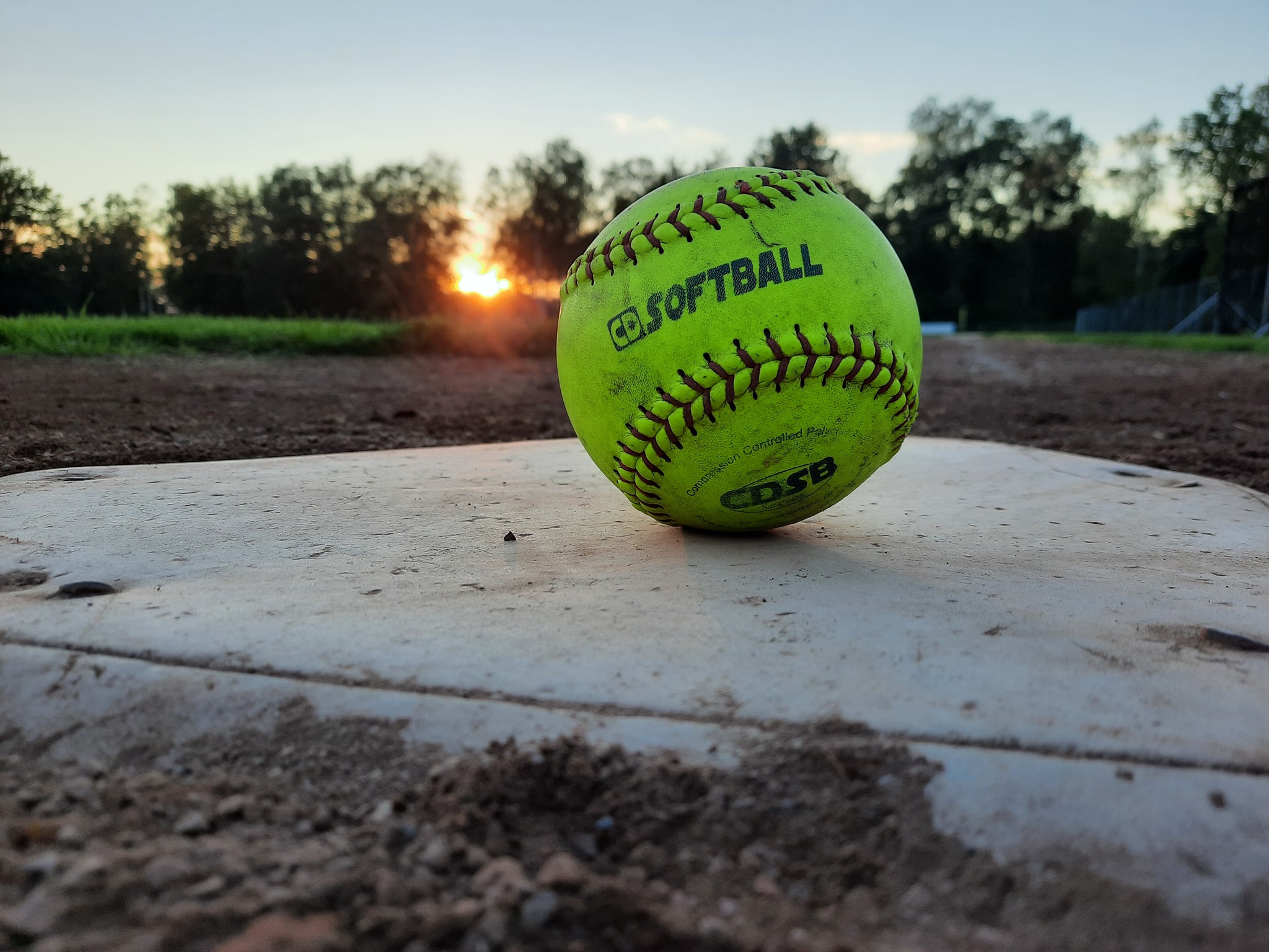 The... - The Pioneers - Honk- en Softbal vereniging Assen
