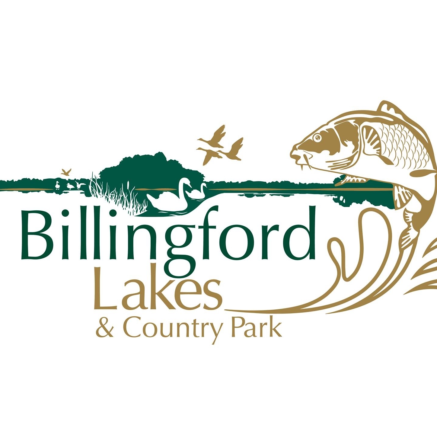 Billingford Lakes Silvers... - Billingford Fishing Lakes | Facebook