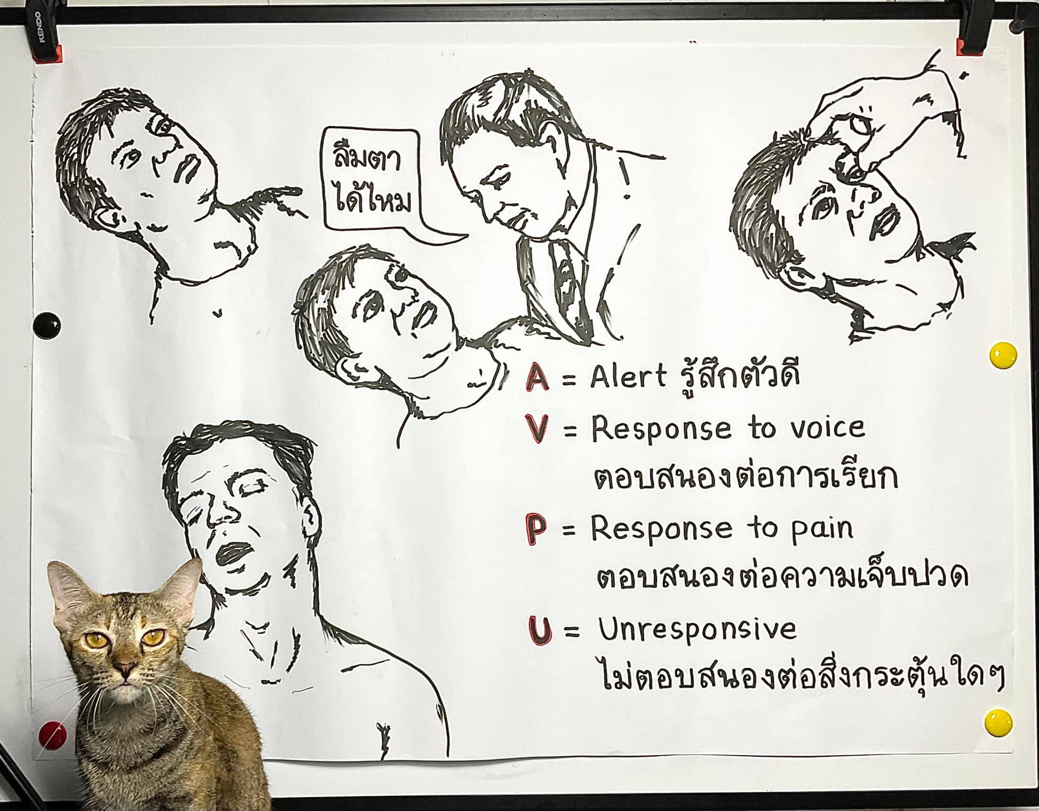 ประเมินความรู้สึกตัว AVPU... - ห้องฉุกเฉินต้องรู้ | Facebook