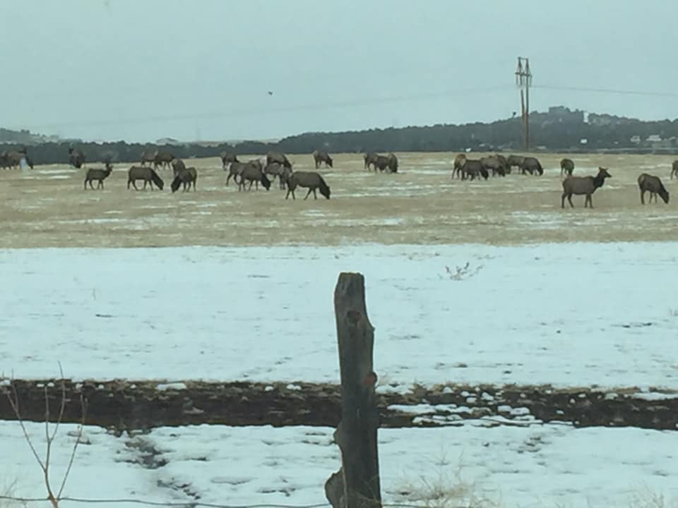 Summit Ridge Ranch | Dolores CO