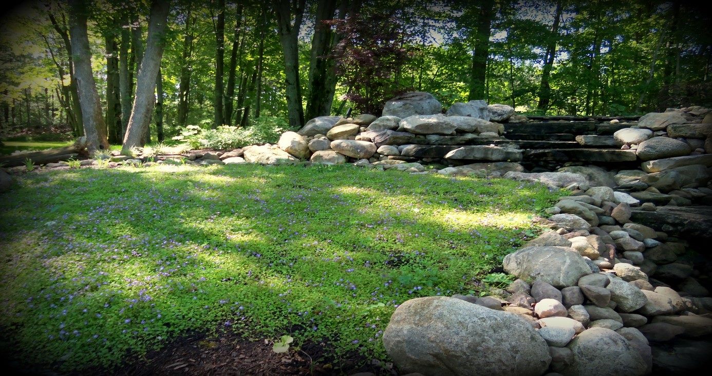 Larsens Landscaping