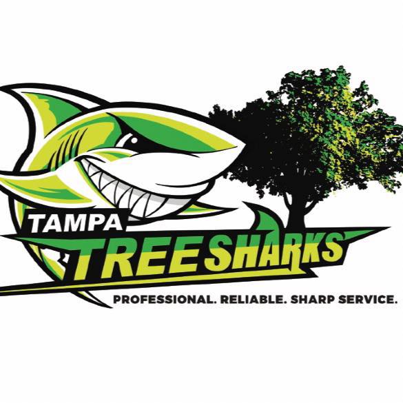 Tampa Tree Sharks | Saint Petersburg FL