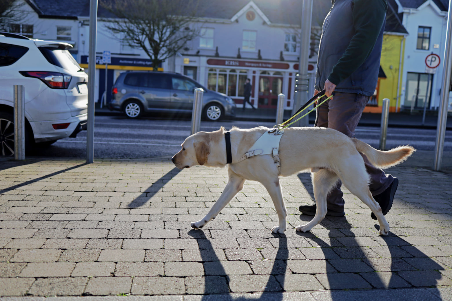 What Is The Purpose Of Guide Dogs