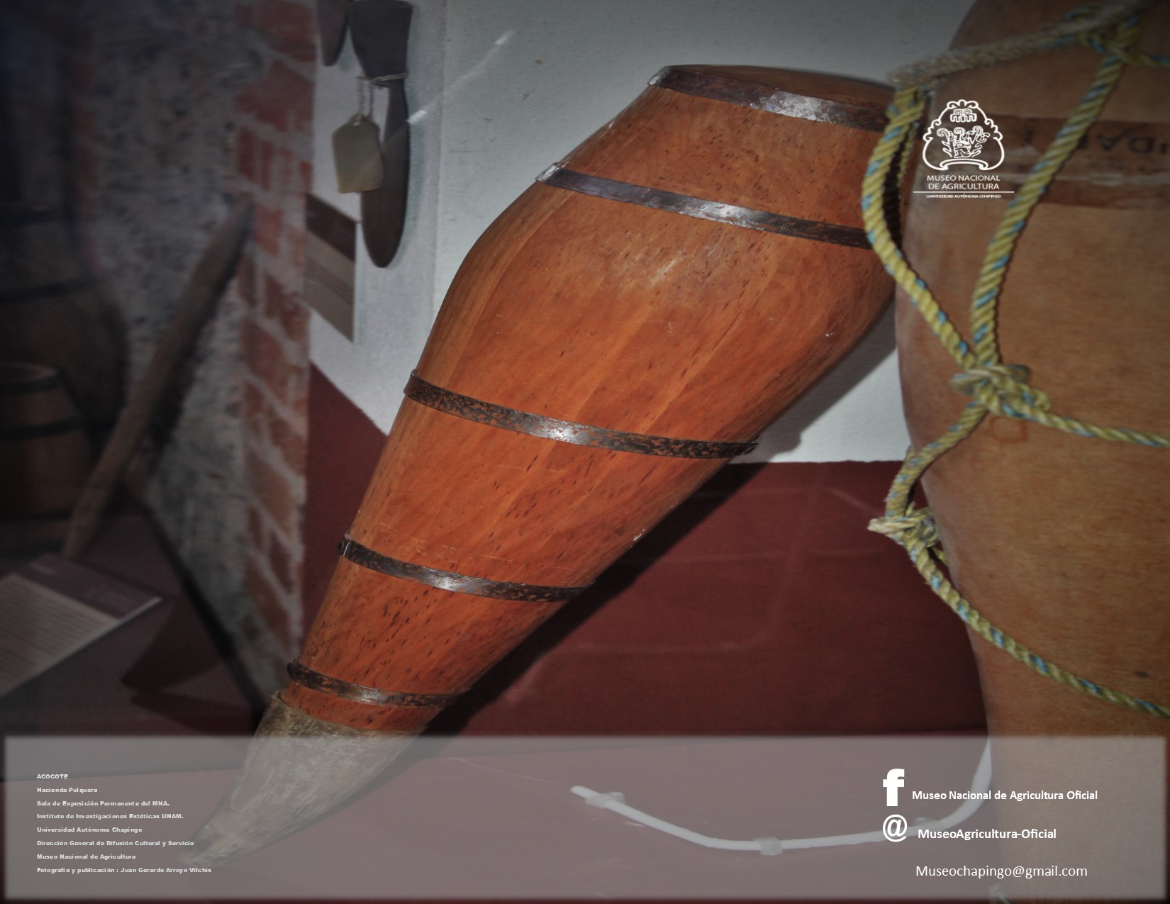 Museo - ACOCOTE. Nombre originario del vocablo náhuatl 