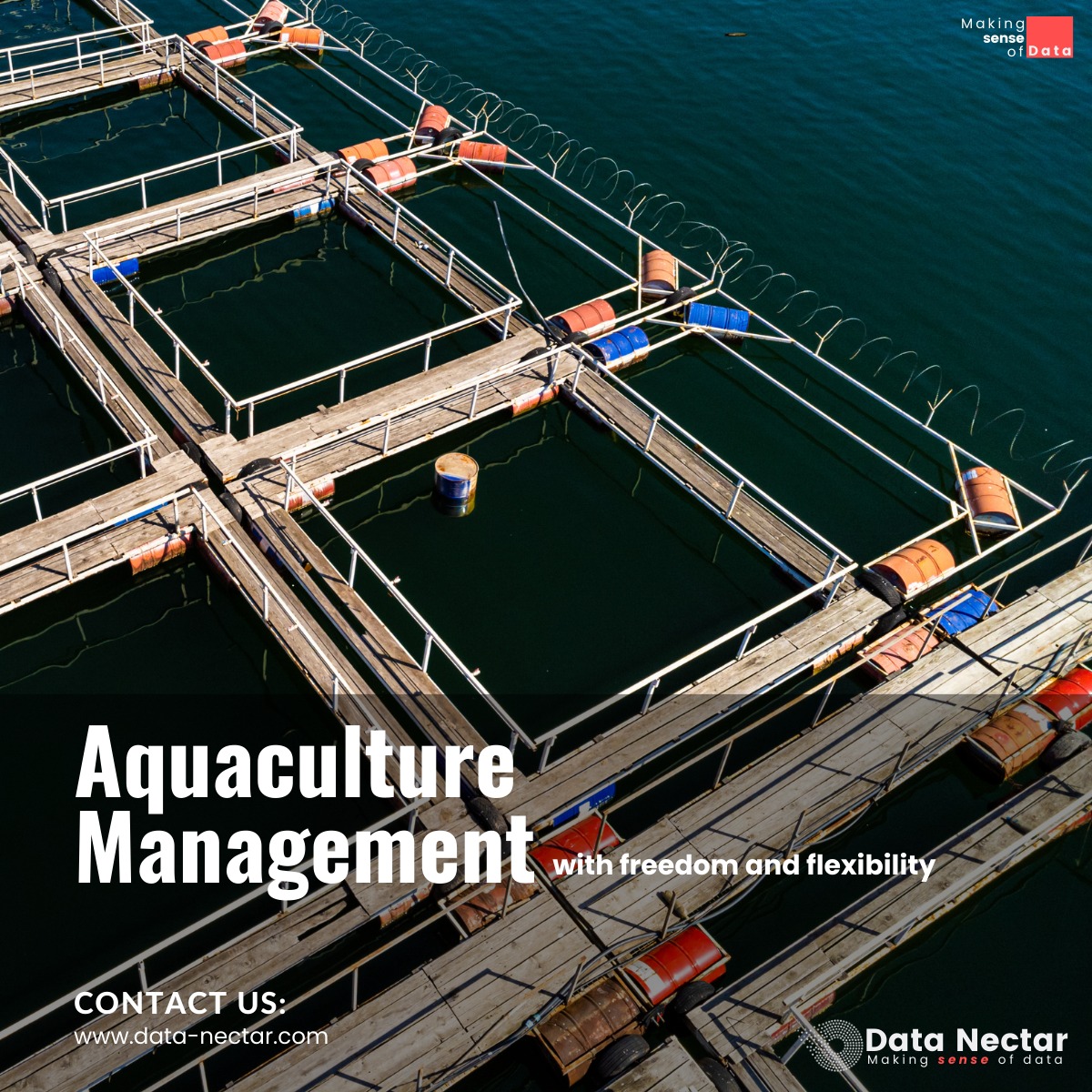 🌊 Aquaculture Management... - Data Nectar Technosys Pvt. Ltd.