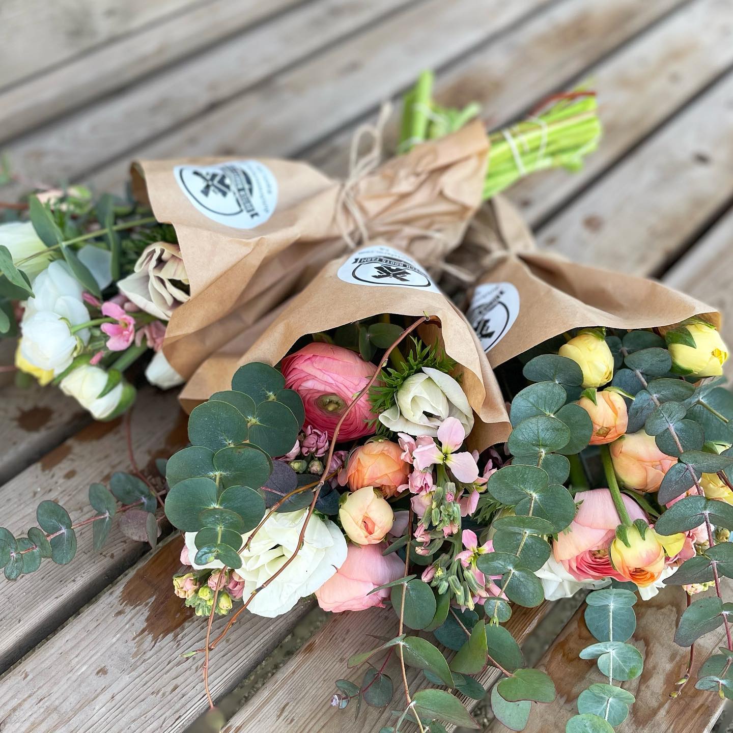 **We still have ranunculus plants at... - Dutch Roots Farm | Facebook