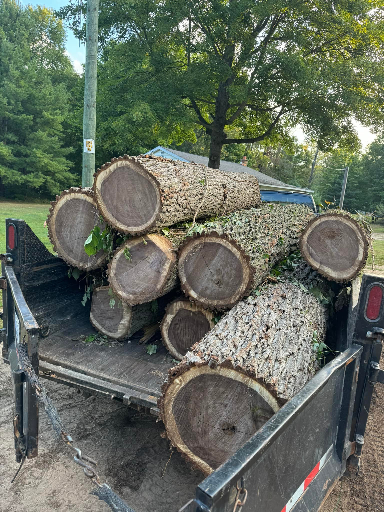 D&B Tree Service | Howard City MI