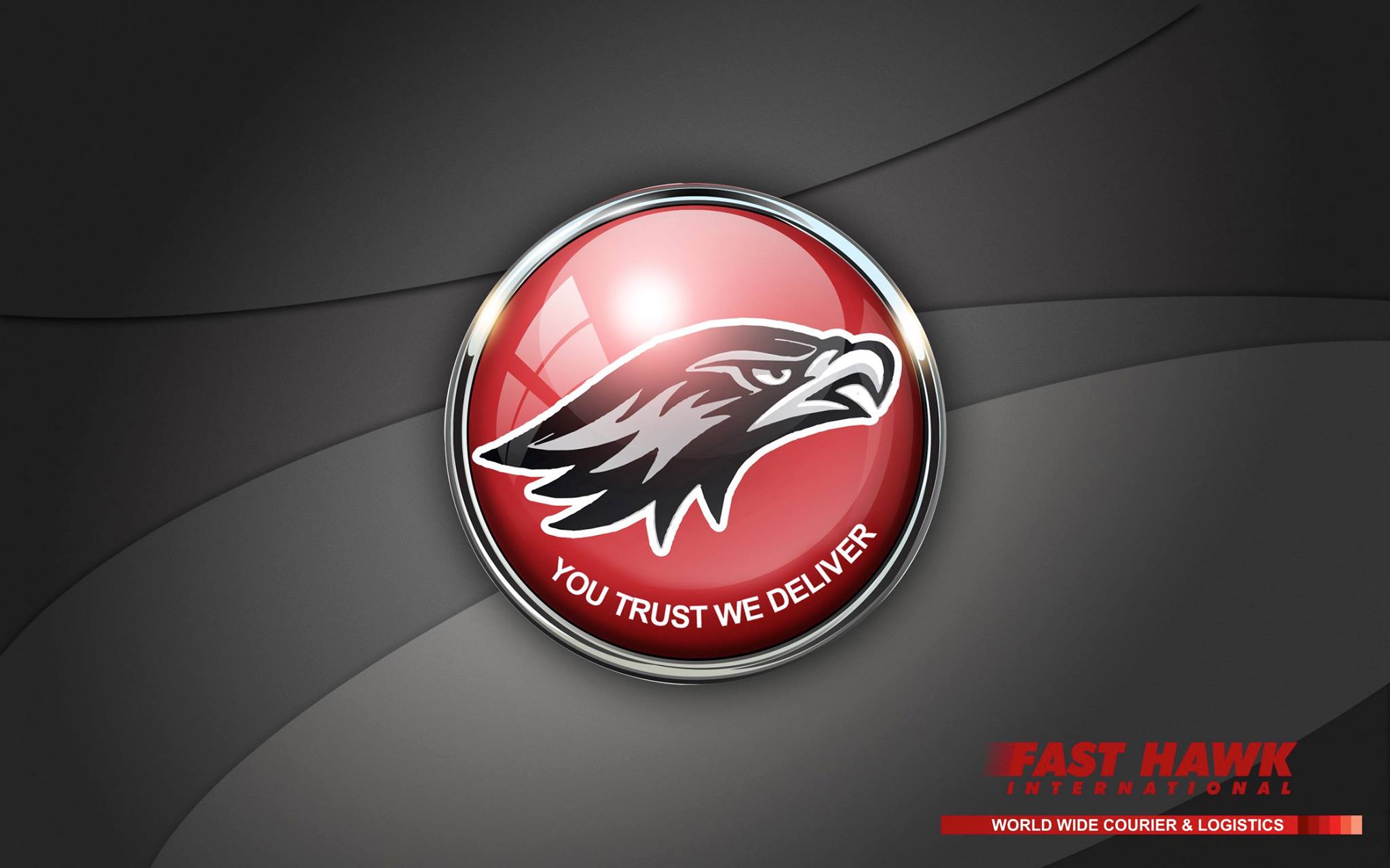 Fast Hawk World Wide Courier | Sialkot