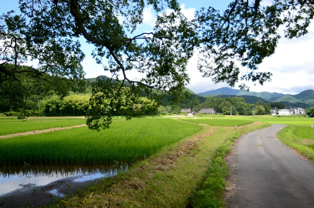 鳴子ダムダムカード4種！！ 七色が2022年日本夜景遺産認定記念