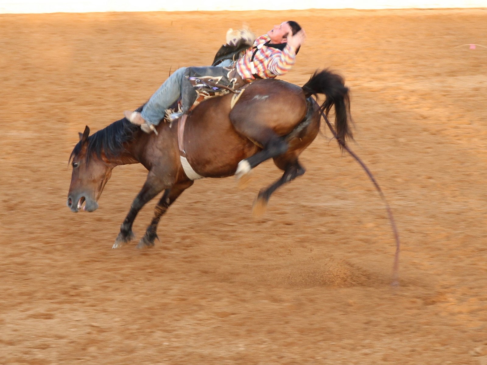 Georgetown Rodeo