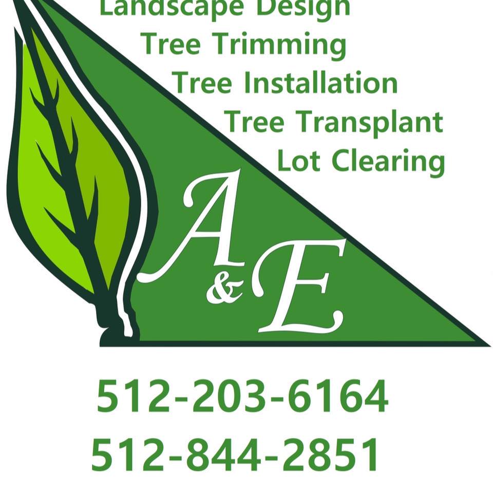 A & E Trees LLC
