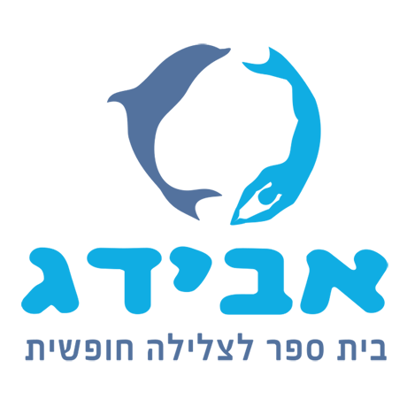 קורס צלילה חופשית שמתאים ללו״ז שלכם ולא צריך לנסוע בשבילו לאילת לימודי ...