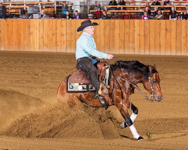 Faith Ranch... - Faith Ranch Performance Cattle Horses Dogs