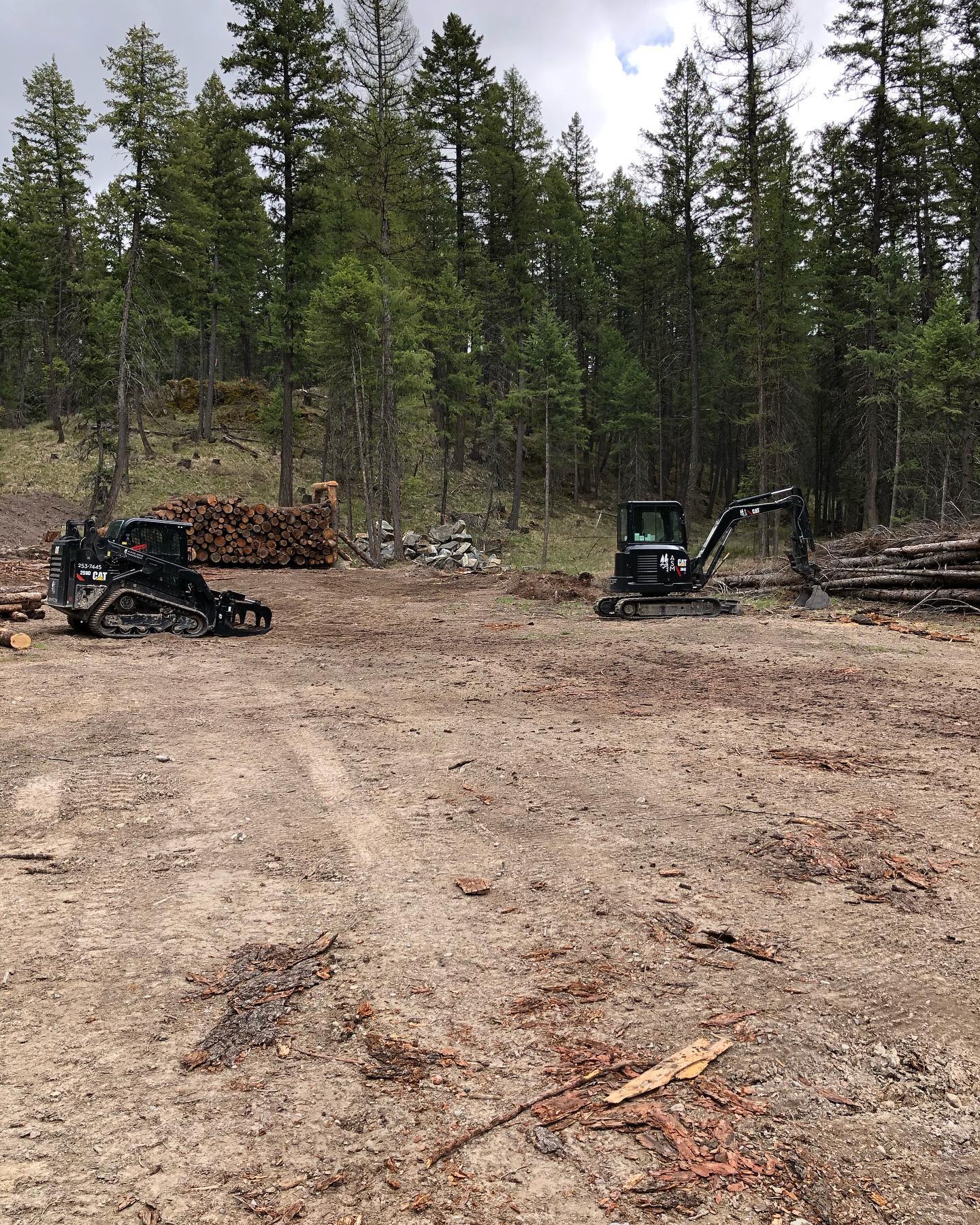 Alpine Snow Management