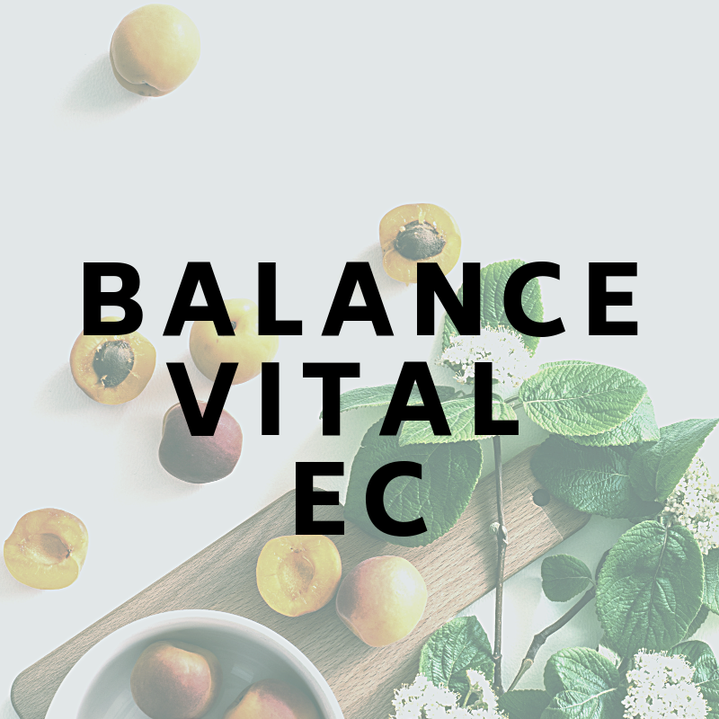 Balance Vital Ec
