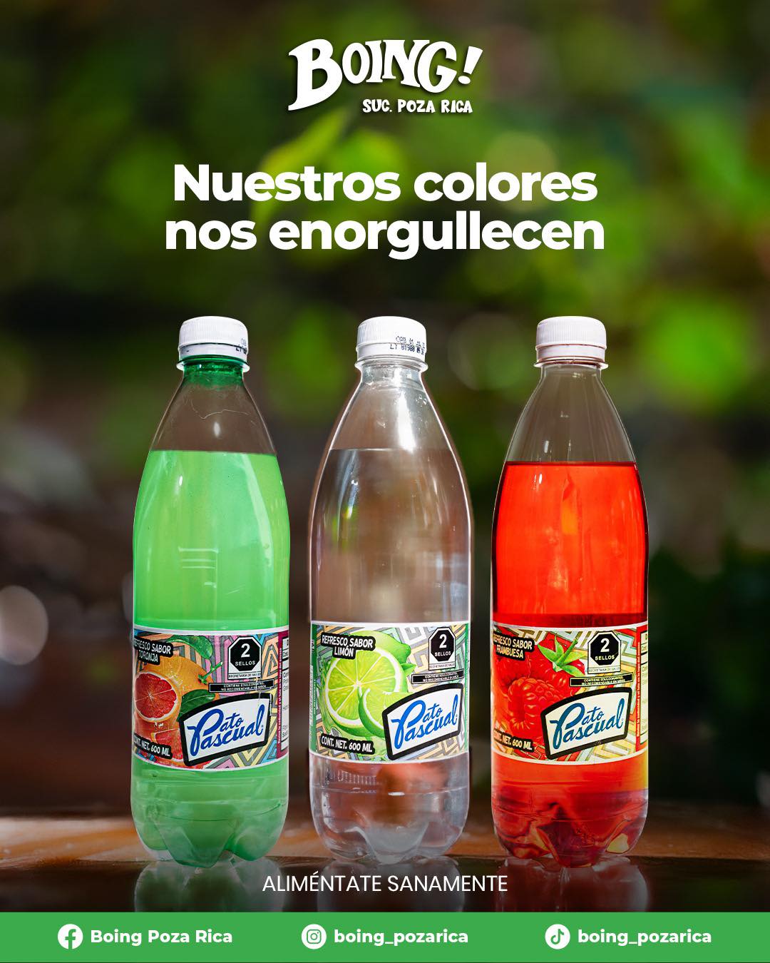 Boing - Nuestros colores nos llenan de orgullo y sabor. Celebra con el ...