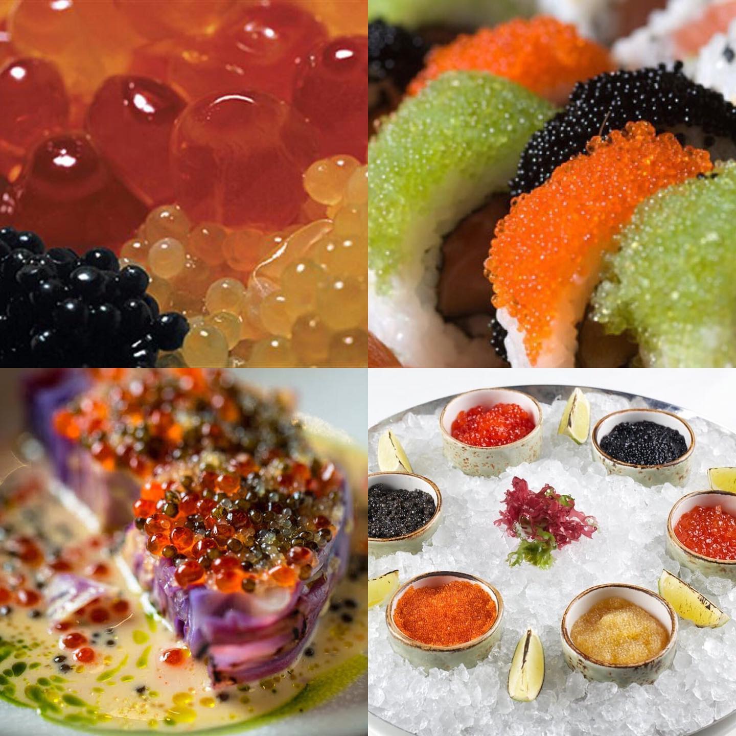 Types of CAVIAR Sturgeon Roe... - Caviar Ambassador | Facebook
