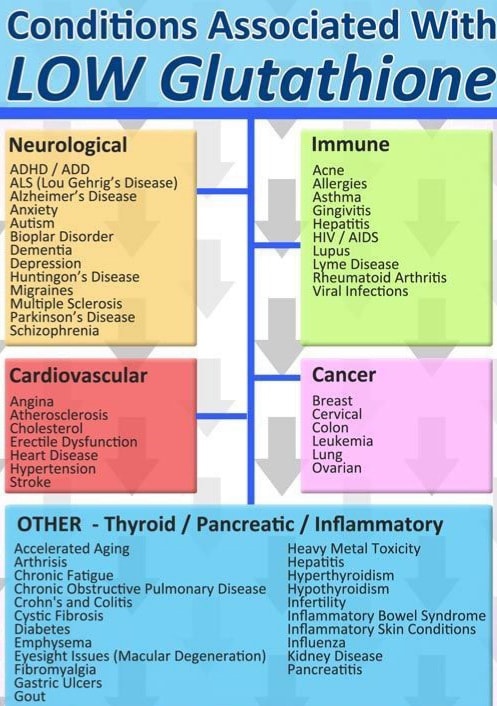 conditions associated with low glutathione levels The Quest Diagnostics test code for Total is 38813 Vitamintrend L-Glutathion 500 mg,