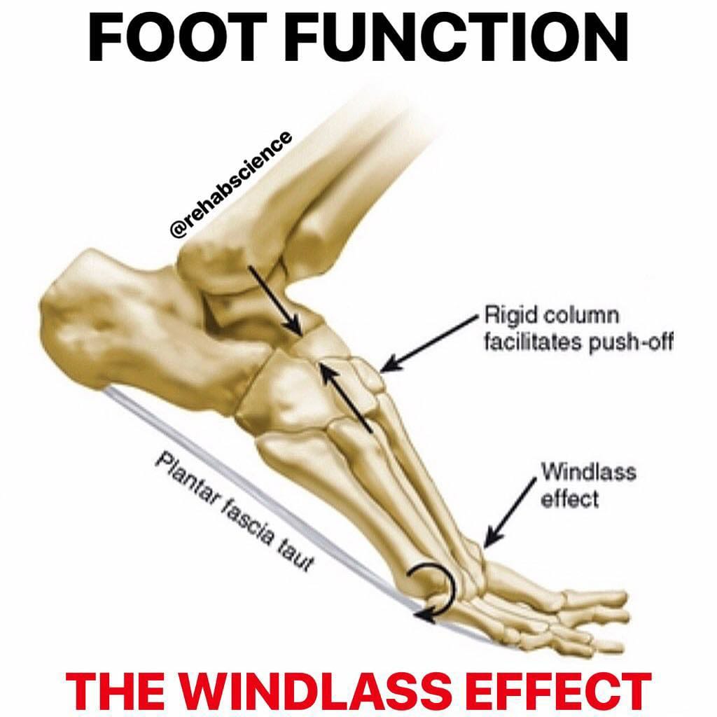 💥WINDLASS EFFECT💥... - House Of Movement & Excellence