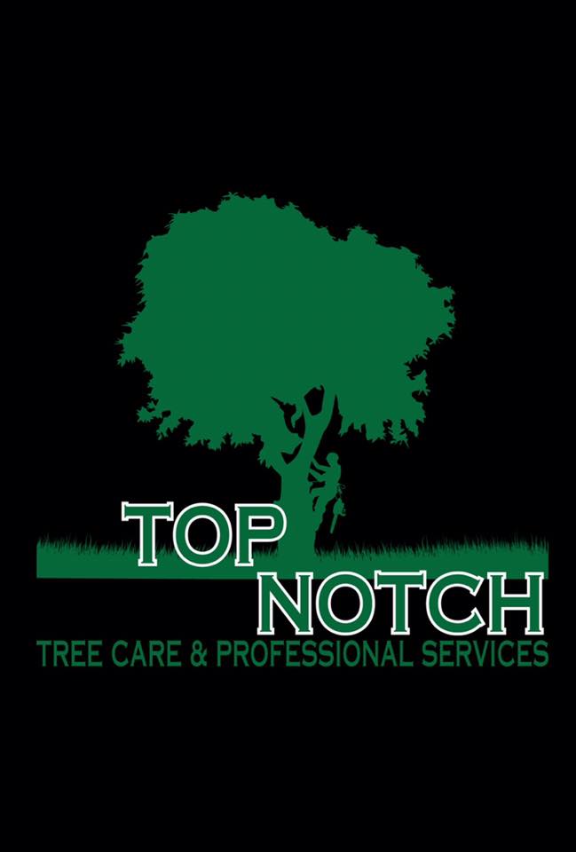 Top Notch Tree Care and professional services | Ocala FL