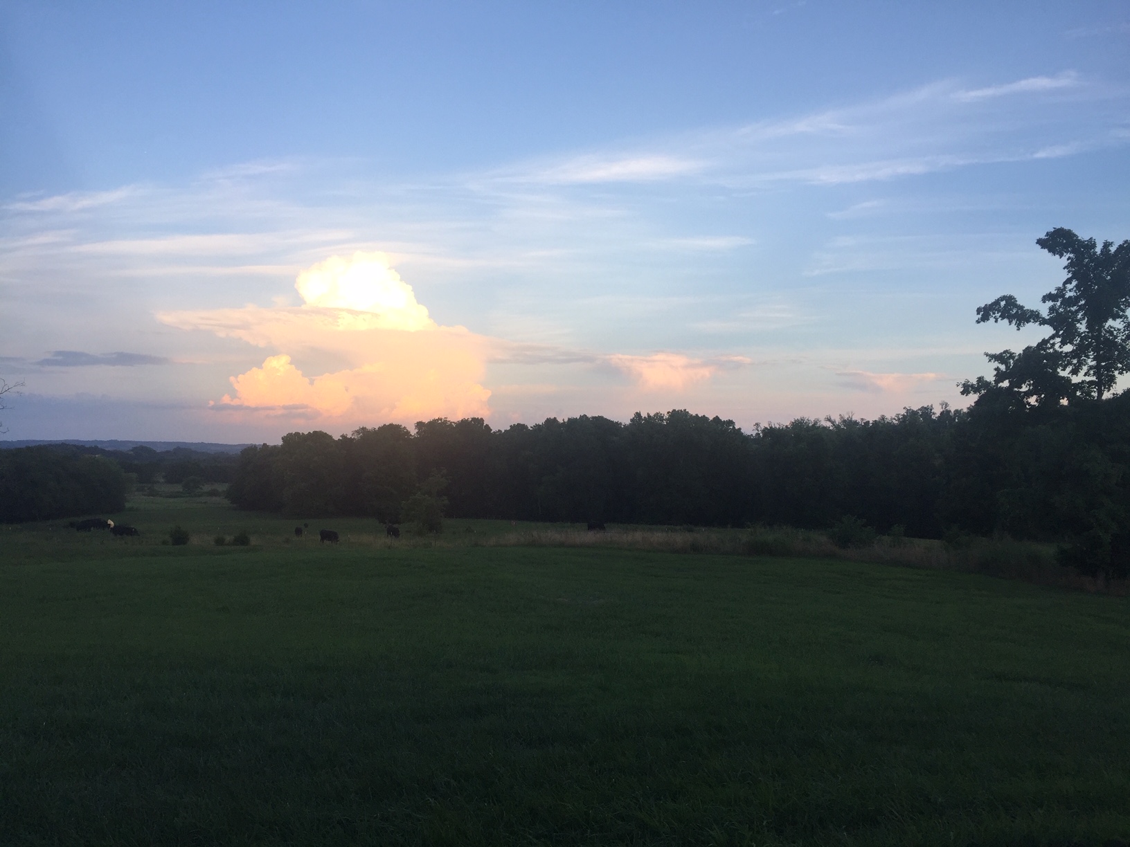Cannon Ridge Ranch | Shelbyville TN