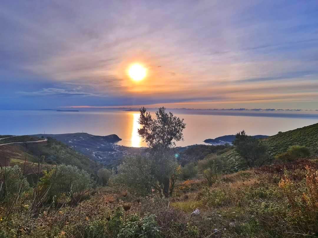 Visit Pilur | Pilur