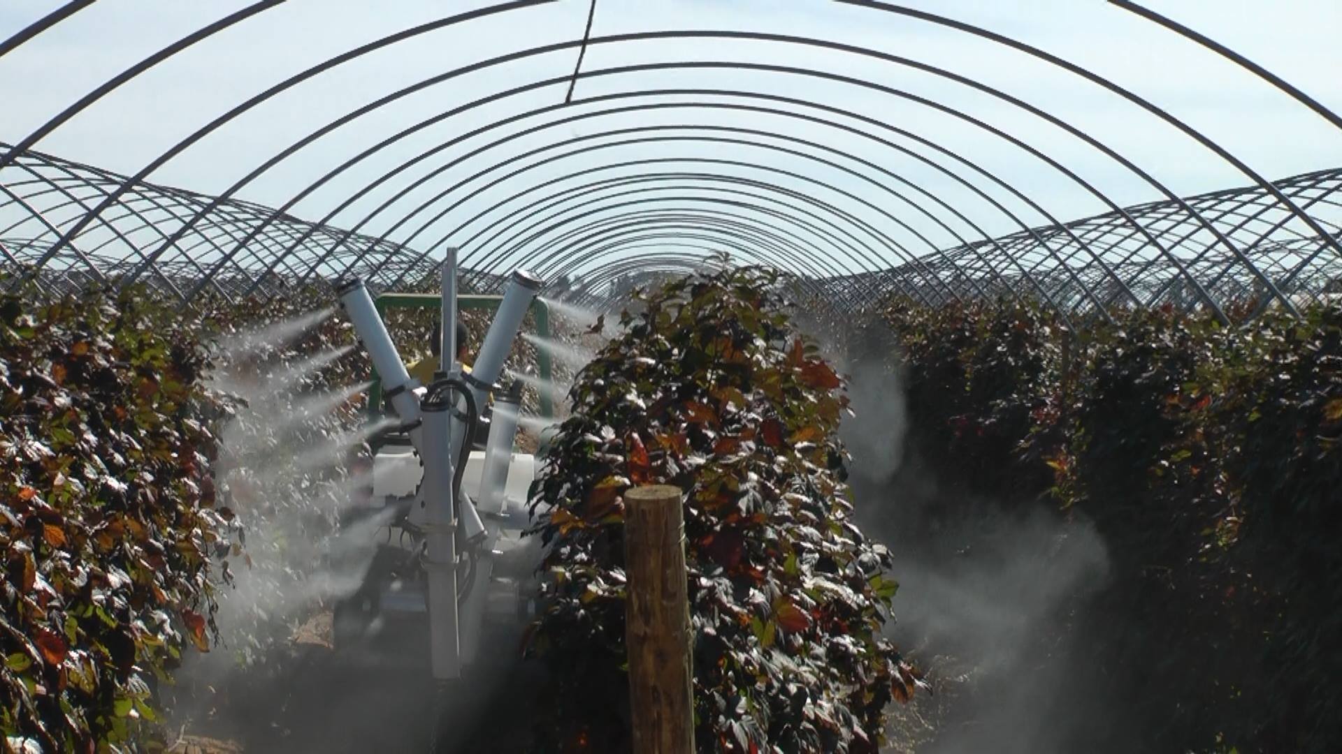On Target Spray Systems Mexico
